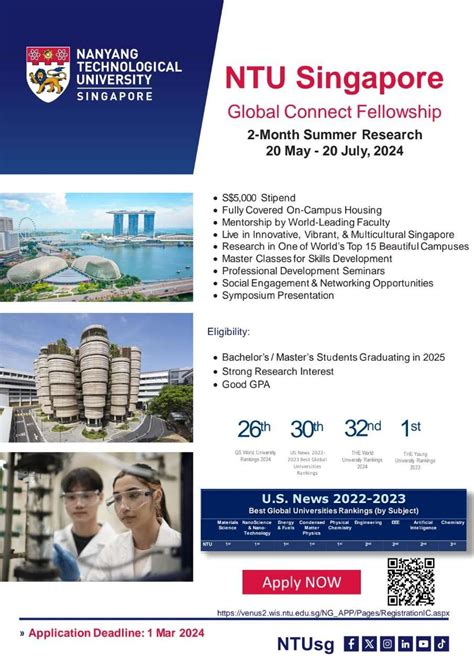 ntu singapore summer internship.